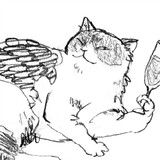 meishanyang