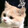 xiao___beiwanglu977