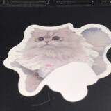 Anh Anh_4421