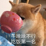 xingqinbuxingzhao