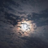 tiantianzaishuizhong