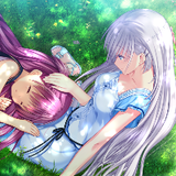 أصدقاء الصيف