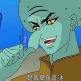 joshizhangyuge