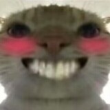 niaowolideshu