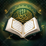mushtaq520
