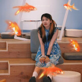 dansierpriscilla
