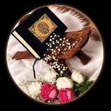 Mehar Ali_7657
