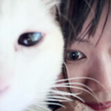 linglingqiqiing