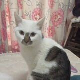 strqngerdqnger_02_04