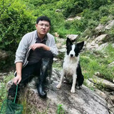 liusuzhenghesuizuizi