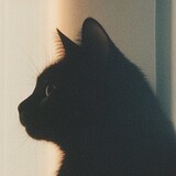bibilailai-_