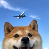 fangtangshizixingか