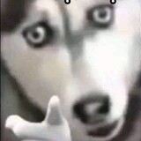 ooooohss