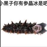 shandianshigecaib