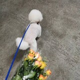 gankaoxiagaokaoxiang