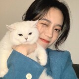 bili_52541479687