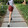 xiaodouzi_doudou