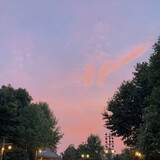 weiguo_x