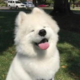 chongwudashijie