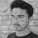 Anshu Singh_1178