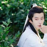 wudaoshoucangjia