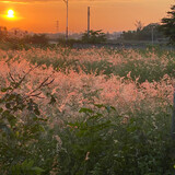 ziyon46706723_04