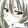 fengにchengってxingqu