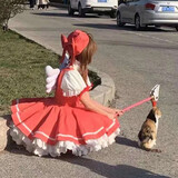 girlishmoon