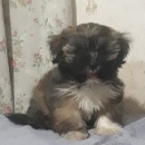 Malachi Jade Dagatan Sarsalejo