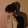 songyunsheng-