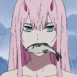 animek zone