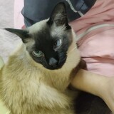 chaorenbuhuifei0oo