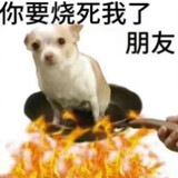kaixiangshenmagui