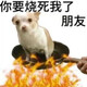 creator avatar