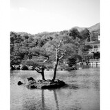 xiao___qizhu