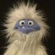 creator avatar