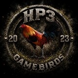 HP3Gameyard