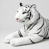Farhan Awan_0935