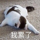yizhizuomengdeaaf