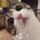 shuangtusishui