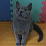 yujunrui