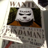 Pandaman ARM
