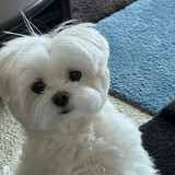 senni_7a17