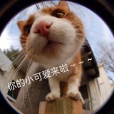 ___miのhouyuan