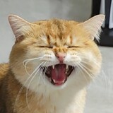 babaokali