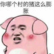 creator avatar