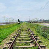 crenjianchenganj