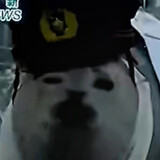 xianyuxianyuabaaba