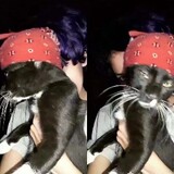 Congzheluguodeshadiaowangyou