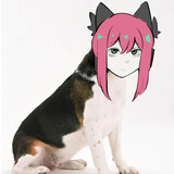 yizhishagou